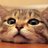 Takashishifu408's profile image