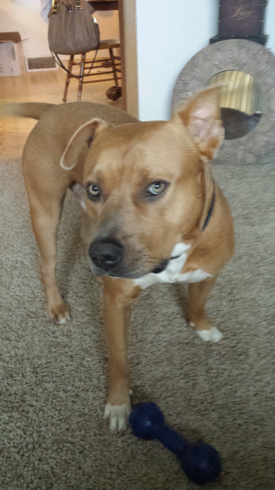 lanea_hair's profile picture. 