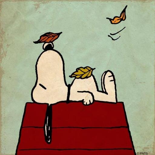 sofwik's profile picture. 