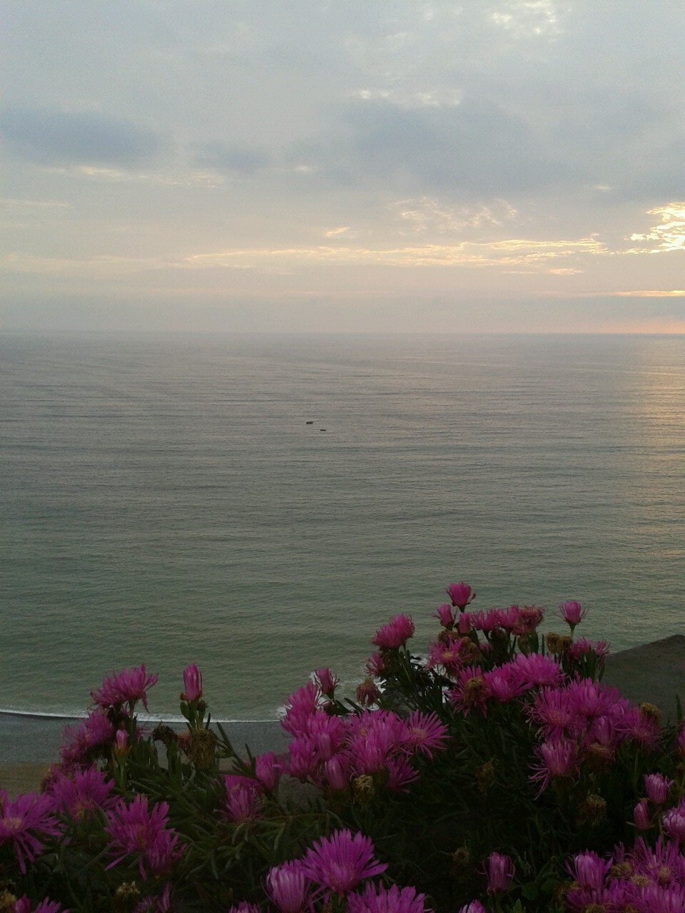 milavico's profile picture. 