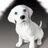 IPQnohpC6's profile image