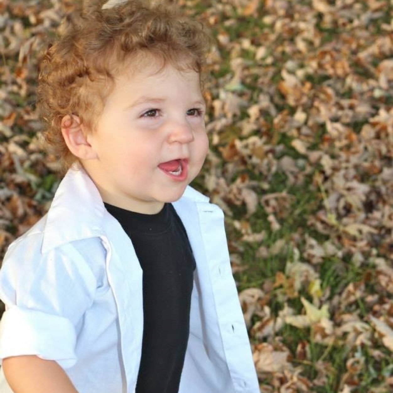 Bud Rinaldi (@BudRinaldi) | Twitter