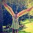 anamagodoy's profile image