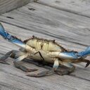 Bill Board - @franny1958 - Twitter