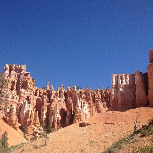 techchefs's profile picture. 