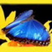 Anastasija Davydova (@uamy4yufvv) 's Twitter Profile