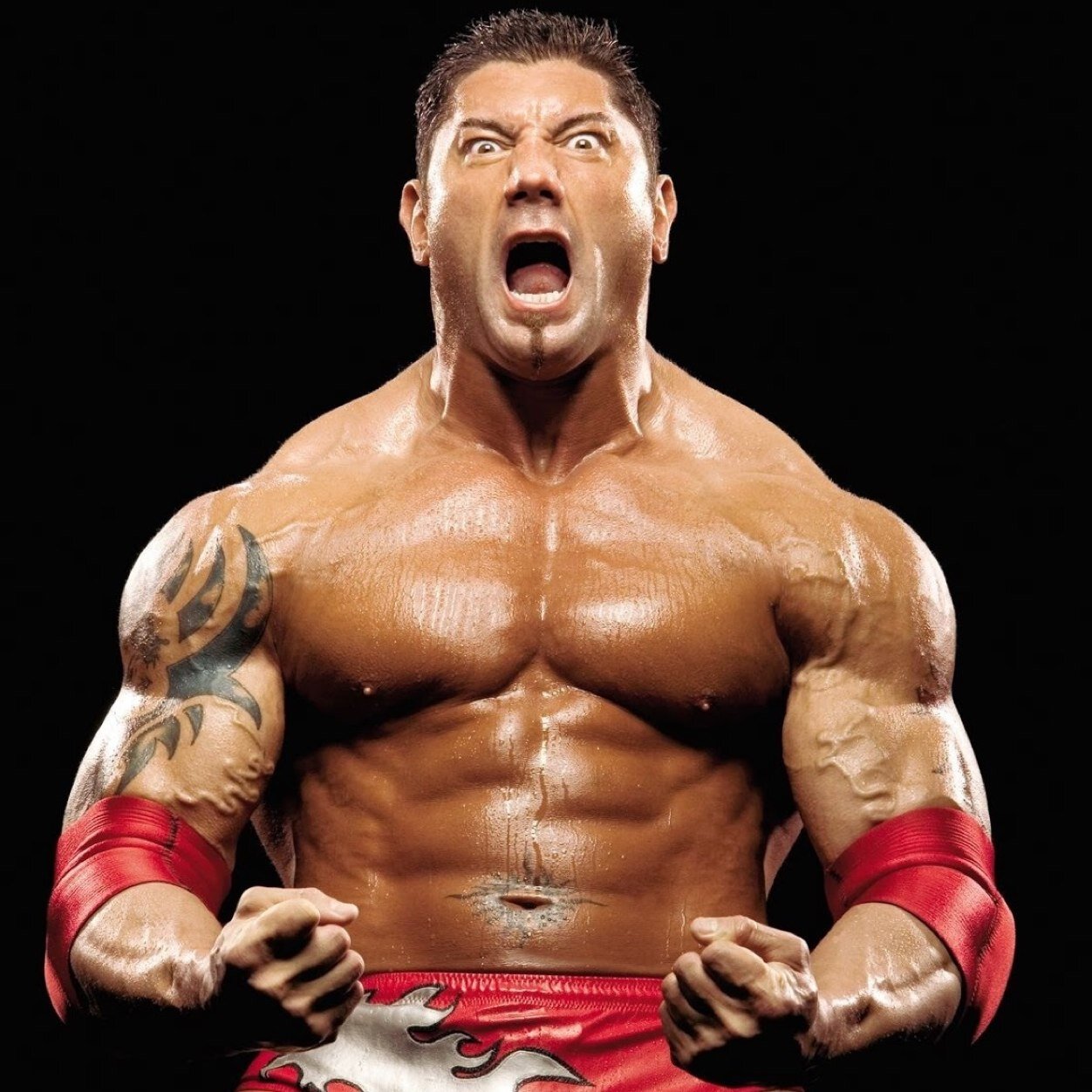 Sono un fan della WWE, i miei preferiti sono : Cm Punk, Dolph Ziggler,John Cena, Daniel Bryan, RVD e Chris Jericho.