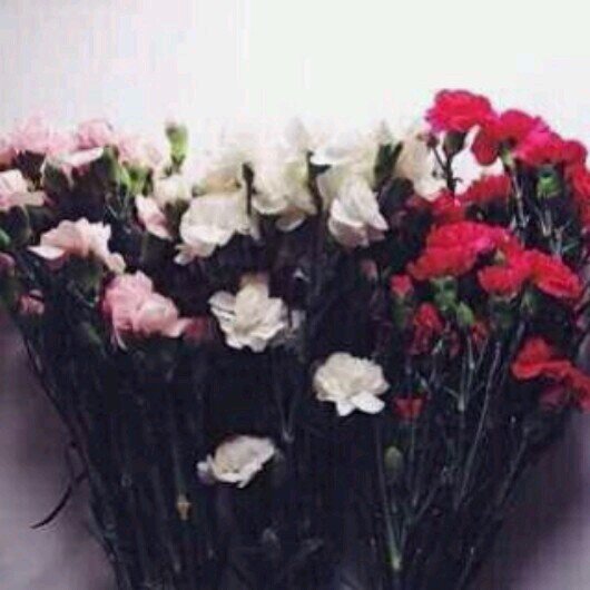 ‏‏‏‏‏‏‏‏‏‏‏‏صدقهه جآريهه ~ لاني آحب الدعاء دعوت الله ان يجمعنا في جنات النعيم -آنسستقرام؟_nora58  كيك ؟__Nora58