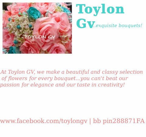 ToylonGV's profile picture. Toylon GV is dedicated to live up its passion to create classy and extremely beautiful designs in it's exquisite bridal bouquets and really elegant fascinators!