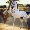 نجراني هكر # (@00SS) Twitter