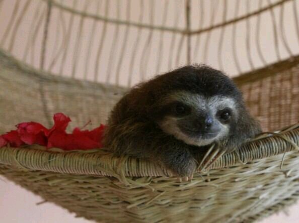 namakemono_love's profile picture. 新座高校/バド部/3528/村田です(´-ω-`)                                                                               K.S.A.Y.K大切な人