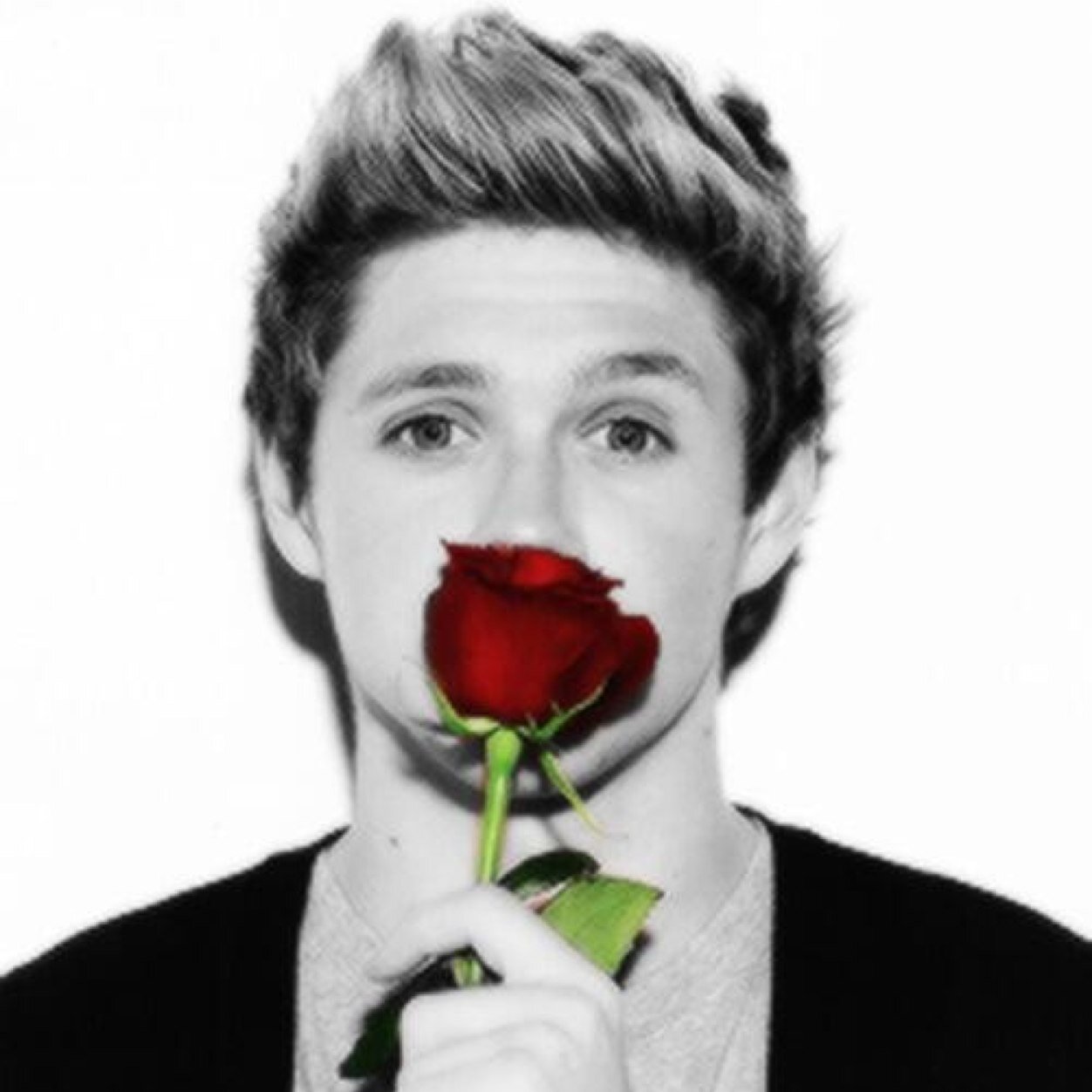 NiallsVxlentine's profile picture. 