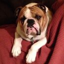 Mary Hatfield - @mhat54 - Twitter