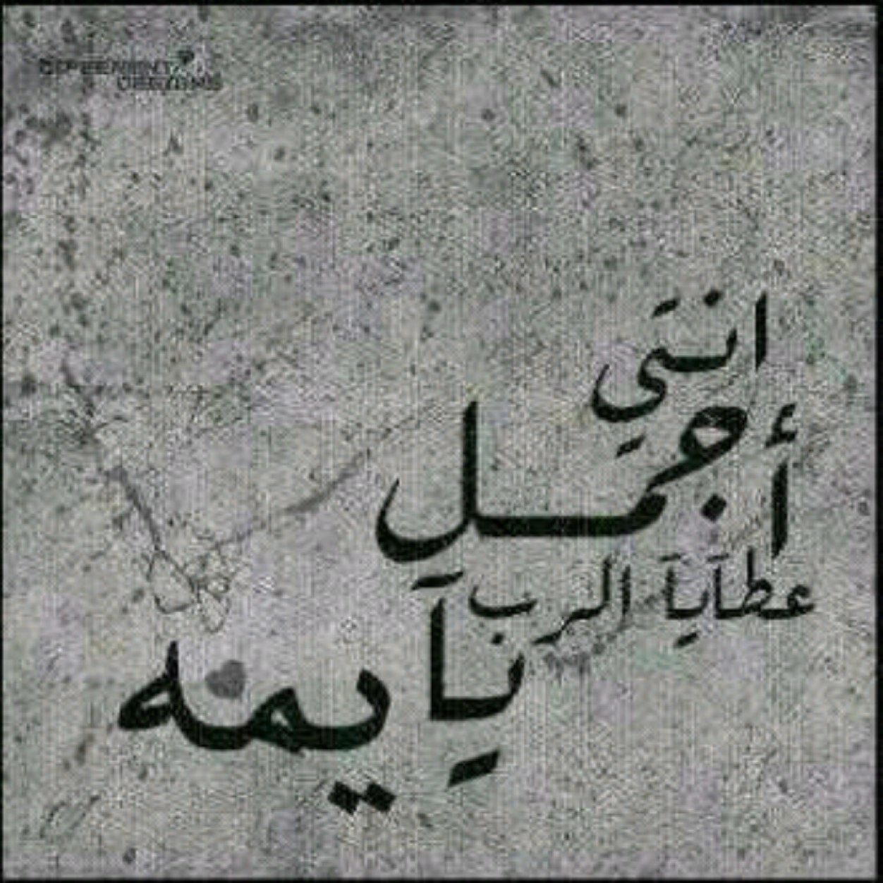 اللهم أجعل كتابي في علين ، وأحفظ لساني عن العالمين ....