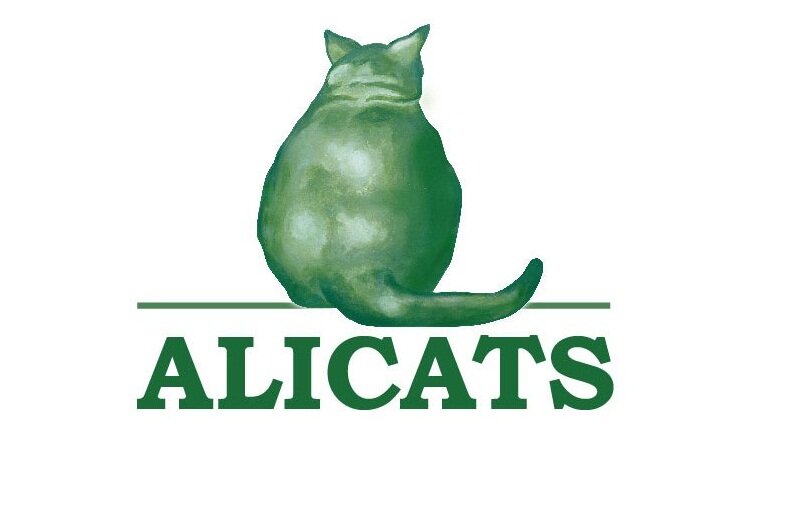 alicats_pub's profile picture. 
