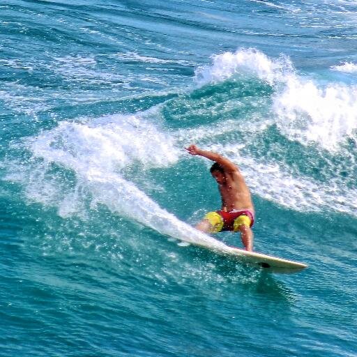 Surf, Fun, Fun, Surf