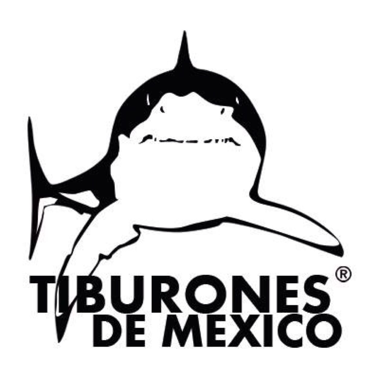 Hay mas de 400 especies de tiburones en el mundo, de las cuales mas de 100 viven en México