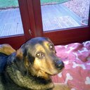 Paula Maxwell - @PaulaMaxwell24 - Twitter