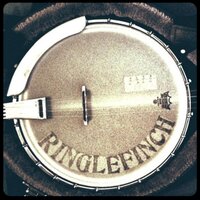Ringlefinch (@ringlefinchuk) 's Twitter Profile