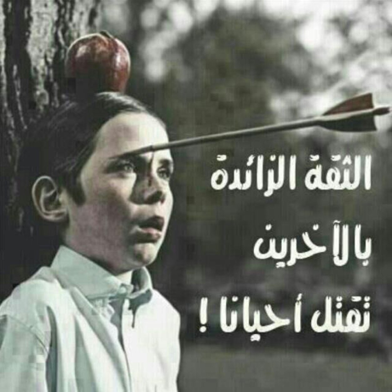 مضارب اسهم قديم من عام 2005
ربحت وخسرة الكثير وتعلمت دروس ودروس
 مغامر من درجه الممتازه ولاكن عند قناعتي 
في المصدر او تحليل يوكد ذالك والله يوفق الجميع