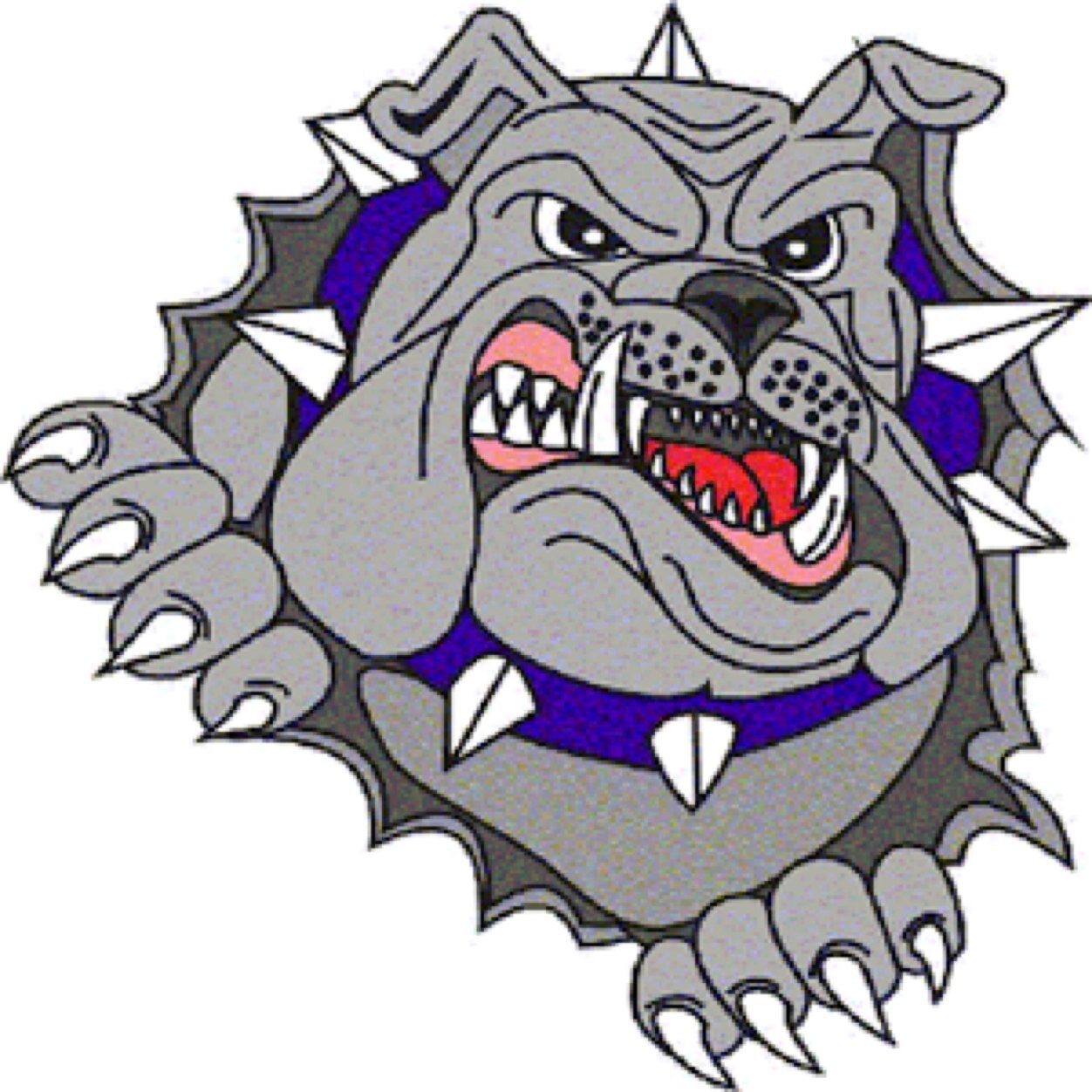 Keeping You informed about Wake Christian Athletics #TeamBulldogs Not affiliated with official school administration