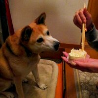 WEEK (@week69th) 's Twitter Profile Photo