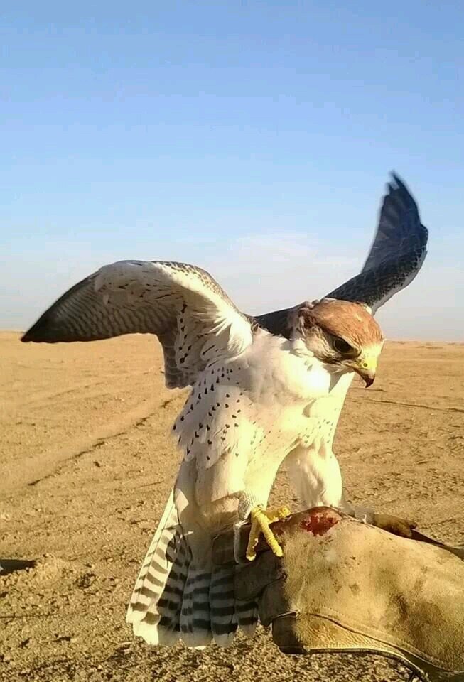 slaamin1400's profile picture. ‏لاإله لا انت سبحانك اني كنت من الظالمين