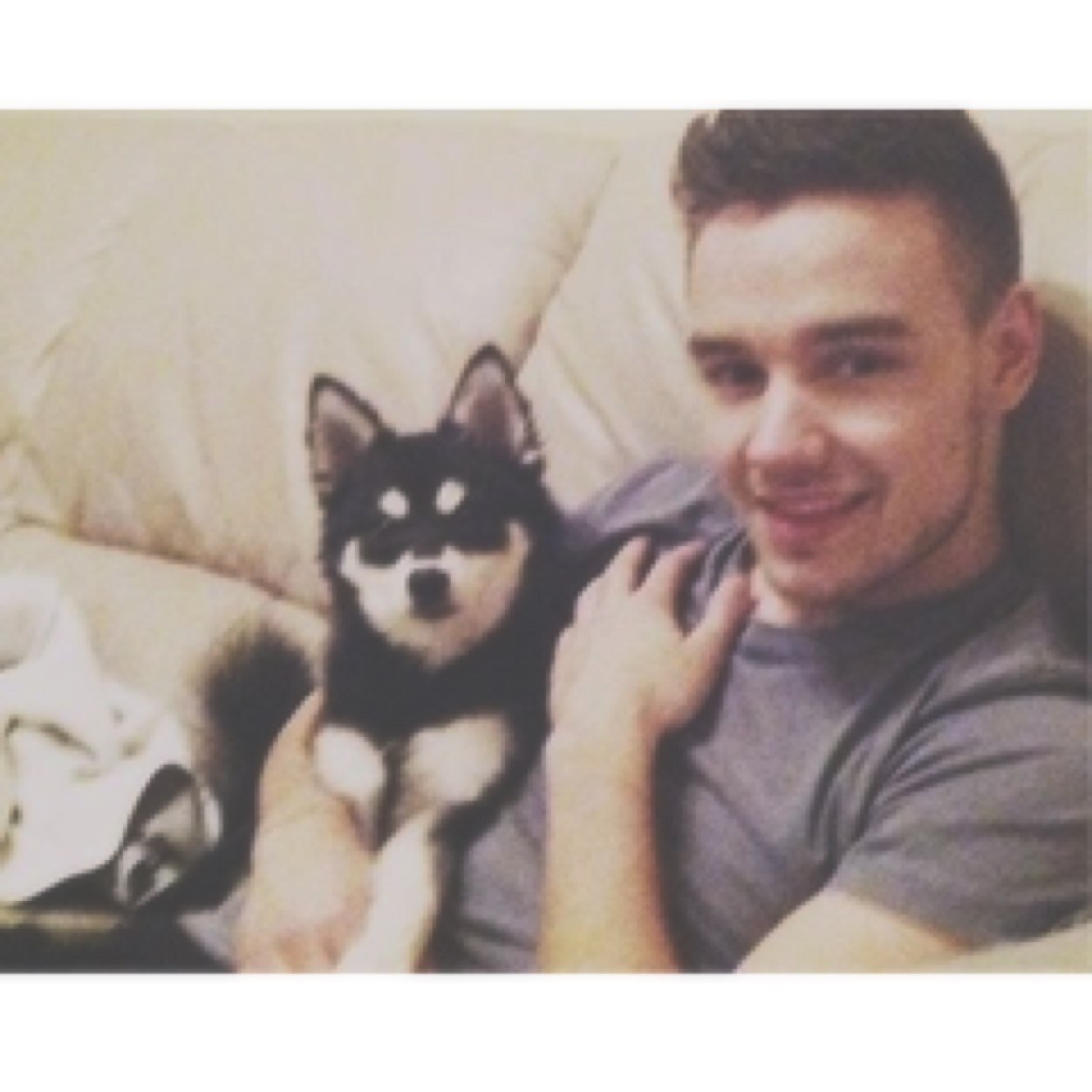 hello! its @narryontop. please follow my main account! i would appreciate it!