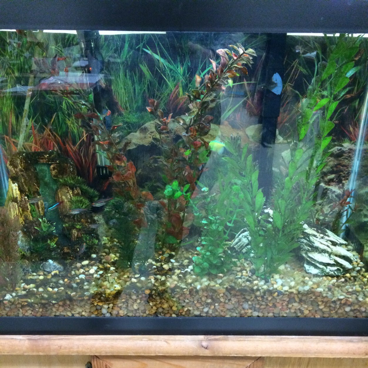 TankTalk122's profile picture. 