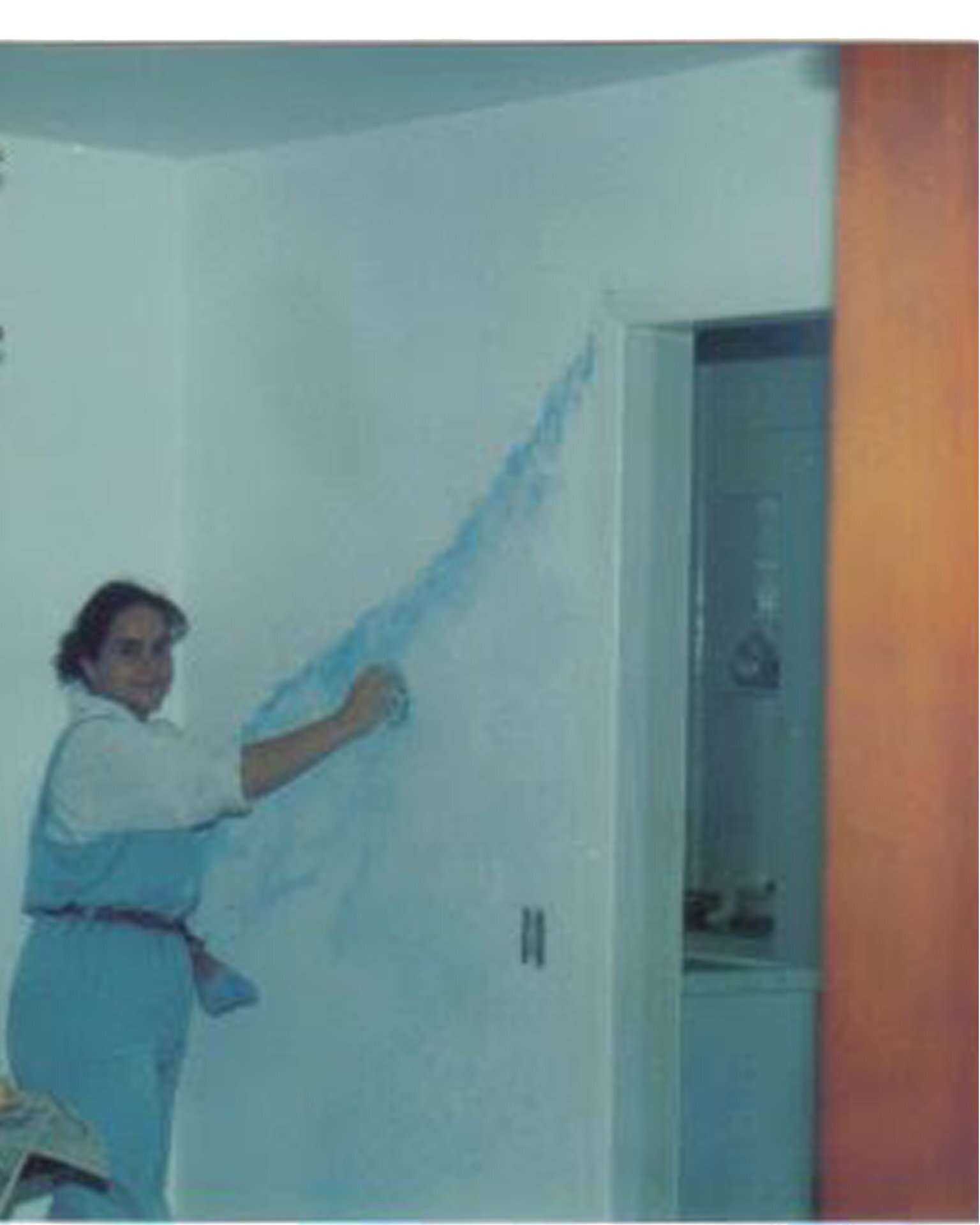 diana pintura  artística dando um toque a mais na sua casa.