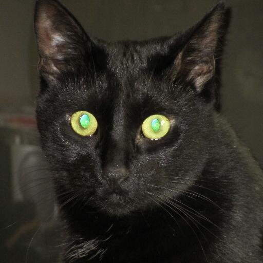 dml206's profile picture. 