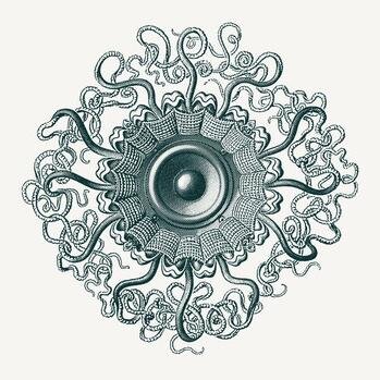 We are Symbiostic – an openminded label based in Berlin for physical and digital releases in electronic music.

https://t.co/DbHH4pzrrf