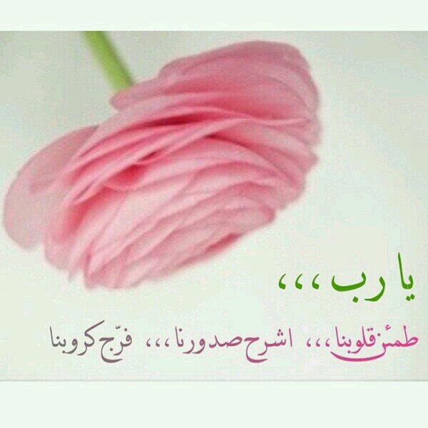 لاشَيء أجمَلُ من قُول الحَمدلله , تَهبك رَاحَة و تزيدكَ خيراً