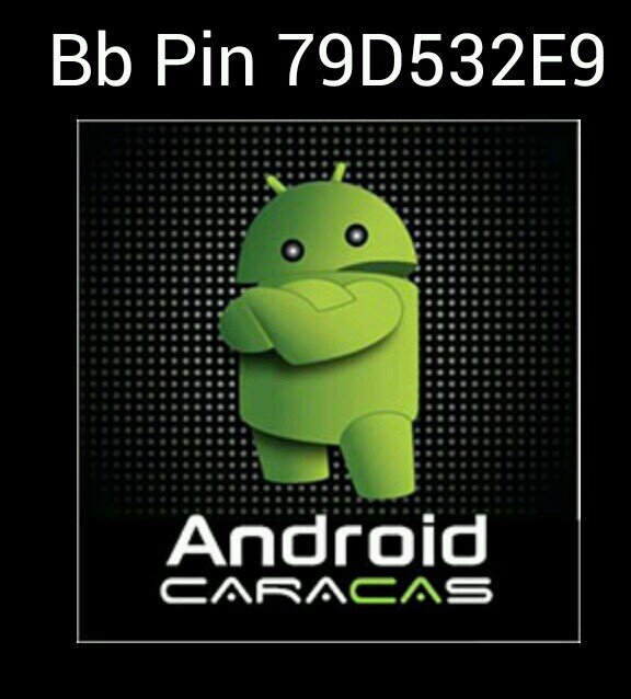 BB PIN 79D532E9