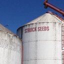 Mark Struck - @BlackFoxDog - Twitter