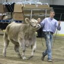 Tyler Evers - @LilEvers - Twitter