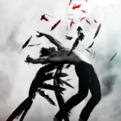 HushHushHechos's profile picture. #HushHushHechos.
Cuenta para los apasionados lectores del best seller. Cuenta creada 14/02/14