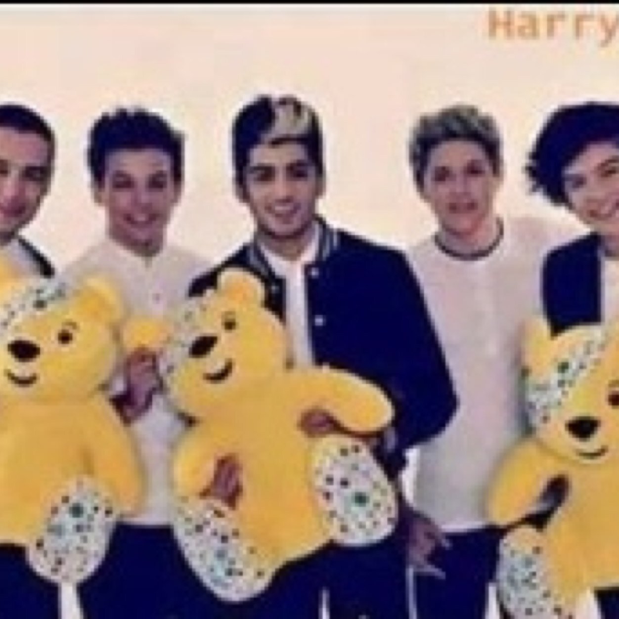 Louis, Liam, Harry, Niall, Zayn
