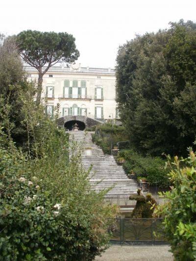 ntmsterua9's profile picture. 