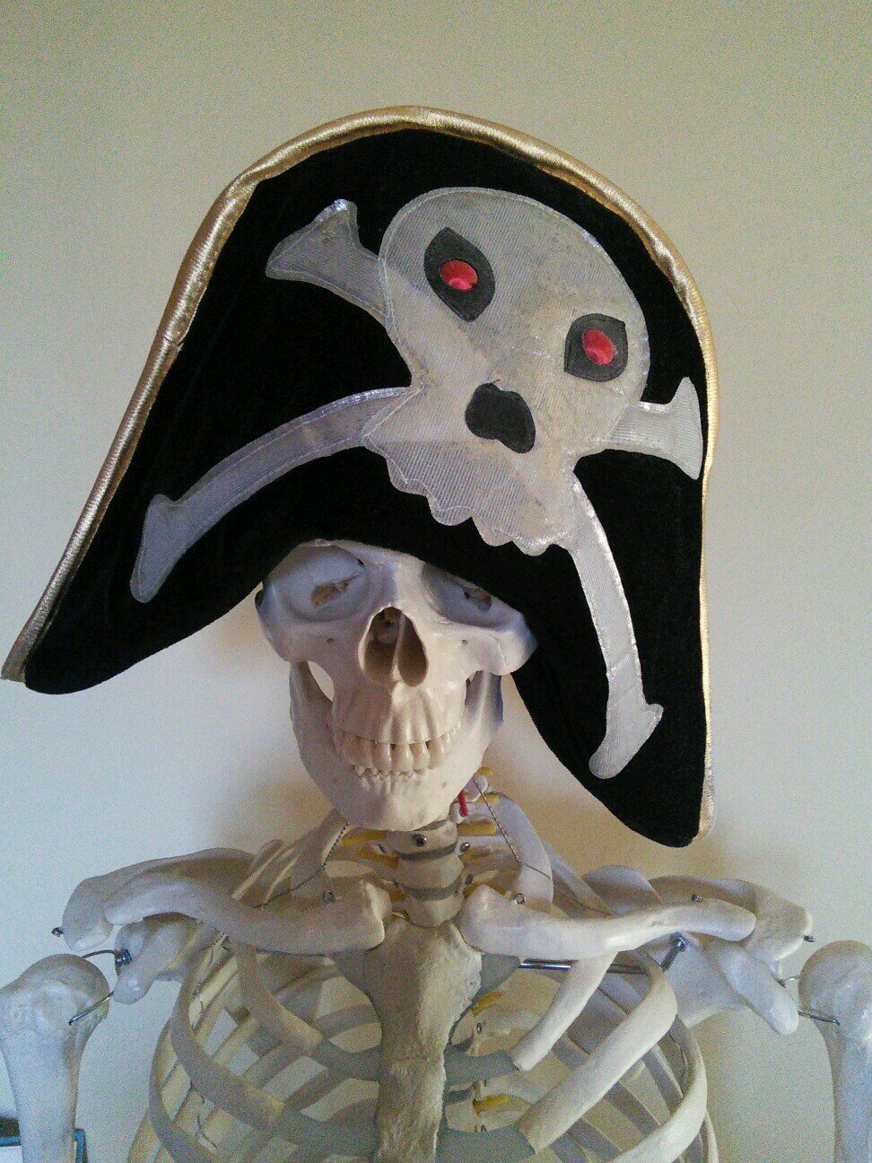 SoggieDoggie's profile picture. 