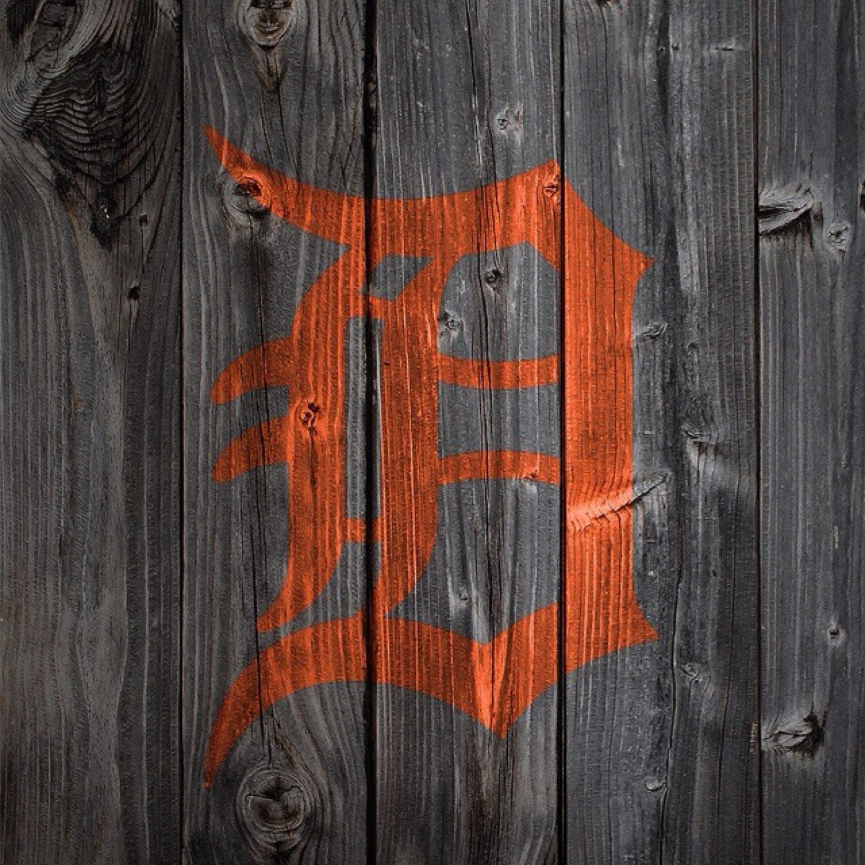 ron_broth's profile picture. 