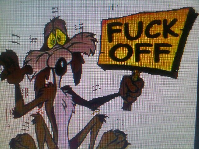 coyotenieto's profile picture. 