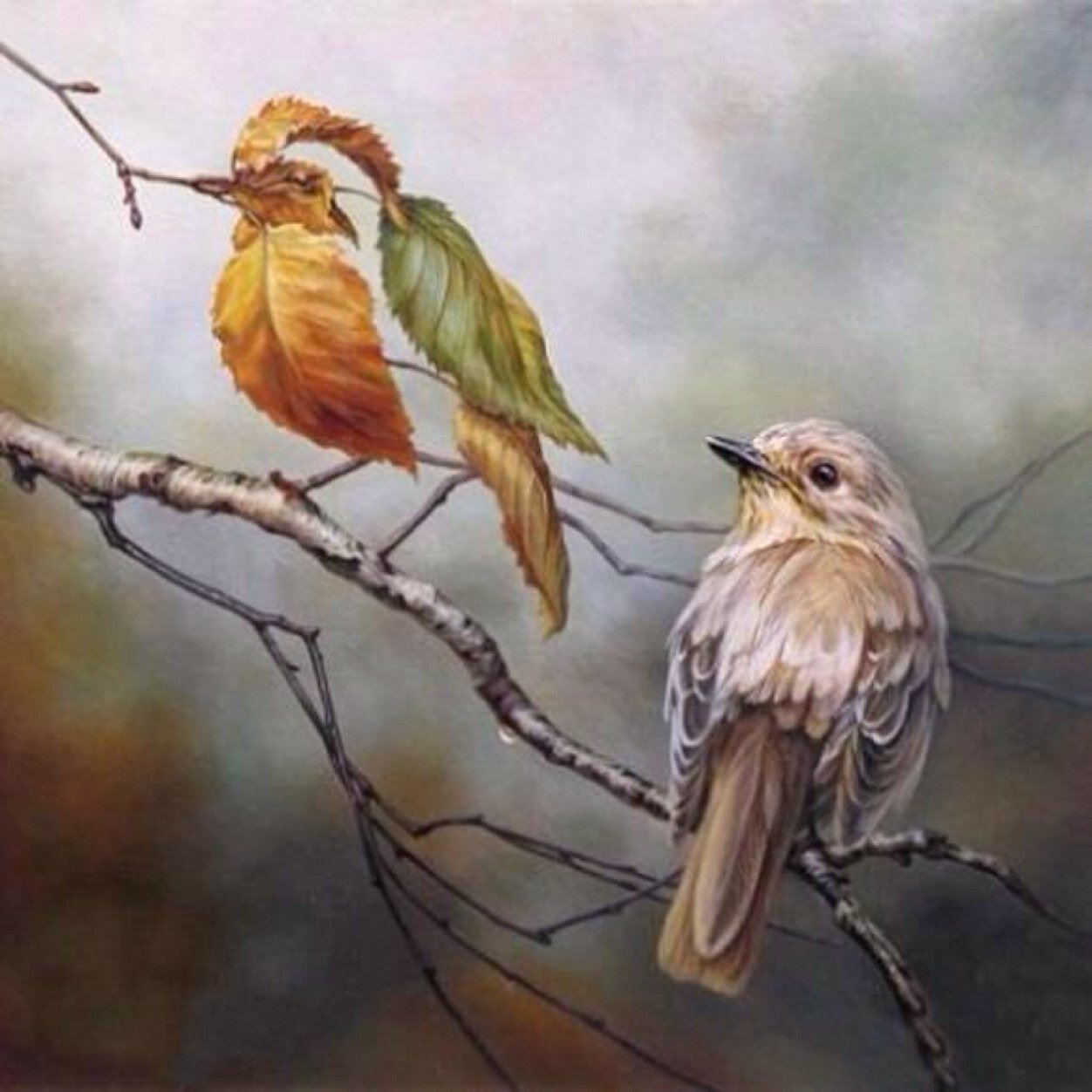 سأغرد ... وأغرد ... وأغررررد بكل شئ جميل . بكالوريوس تغذيه https://t.co/QXtqlZxamP مدرب معتمد تقنيات