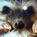 Peter Beck - @prb2002 - Twitter