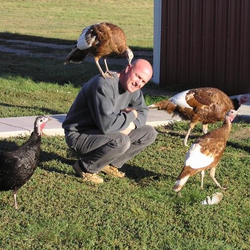 hobyab's profile picture. 