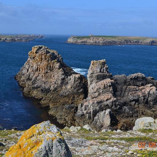 dide62's profile picture. 