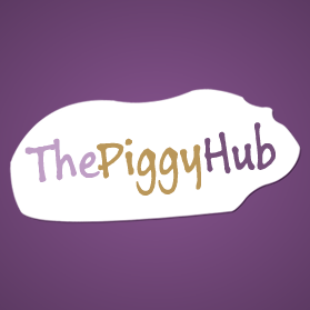 Welcome to The Piggy Hub, an exciting and fun-filled network for Guinea Pigs!
Sign Up at http://t.co/EgMLvxSeFY