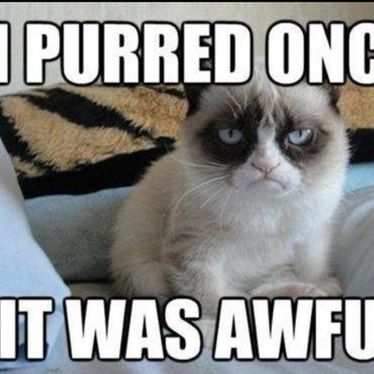 joanne4679's profile picture. 