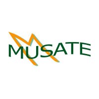 Musate (@musatetweet) 's Twitter Profile