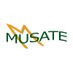Musate (@musatetweet) Twitter profile photo